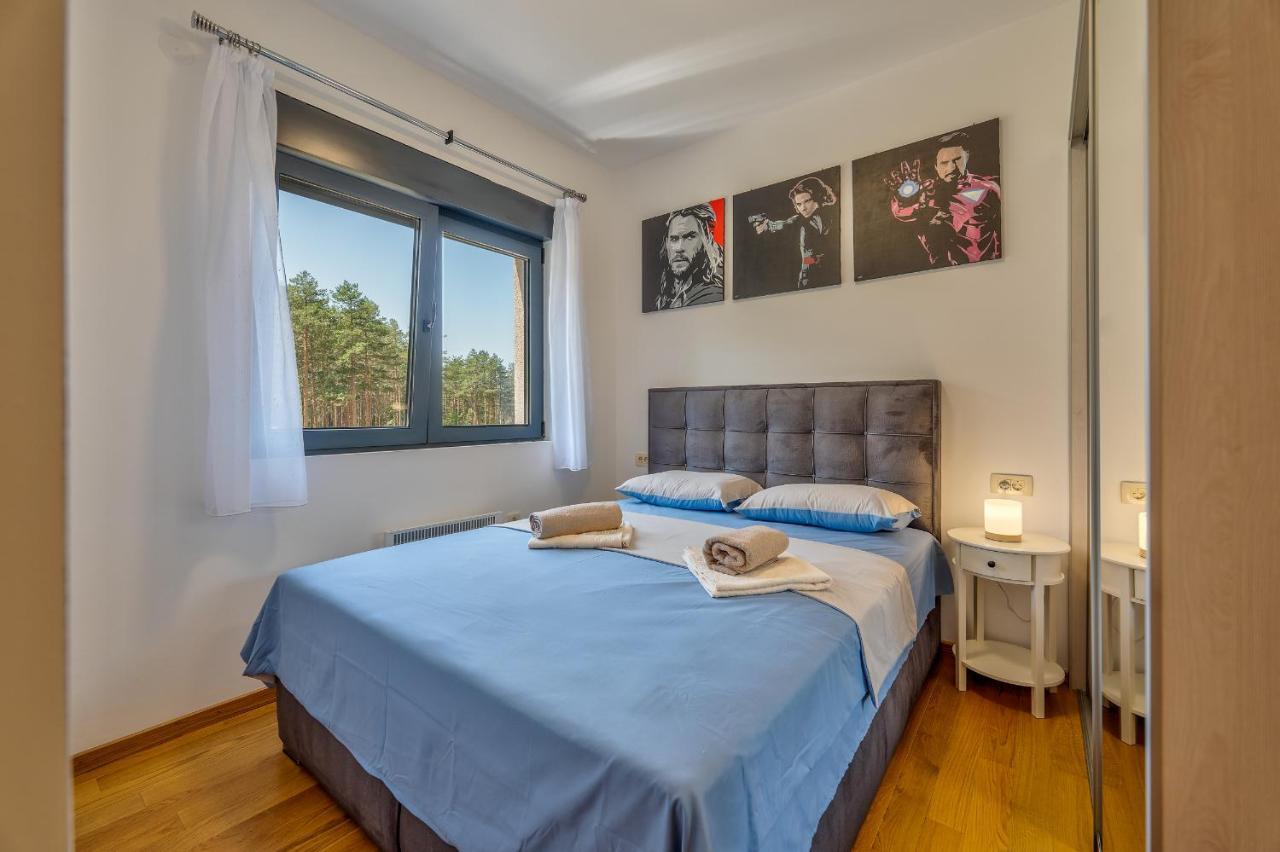 Vila Pekovic Green, Pine Trees View 2 Bedrooms Apartment Ζλάτιμπορ Εξωτερικό φωτογραφία