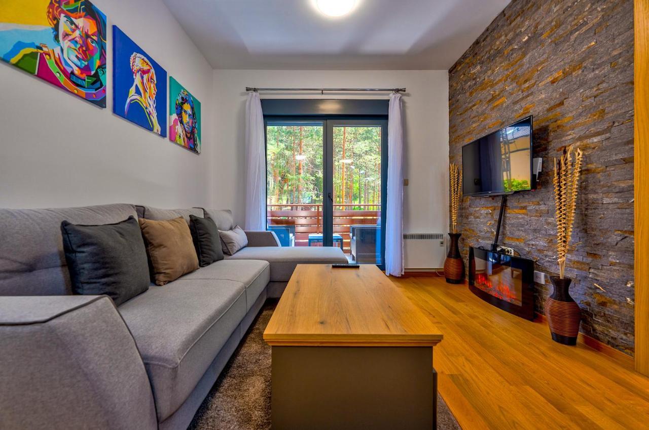 Vila Pekovic Green, Pine Trees View 2 Bedrooms Apartment Ζλάτιμπορ Εξωτερικό φωτογραφία